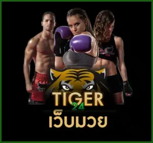 Tigerเว็บมวย jpg